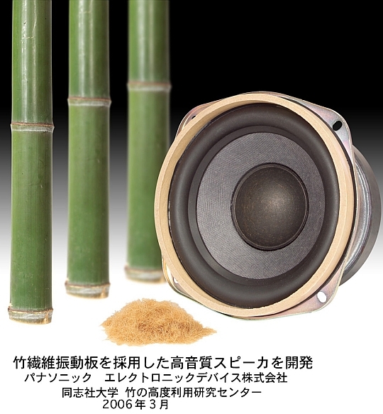 bamboo