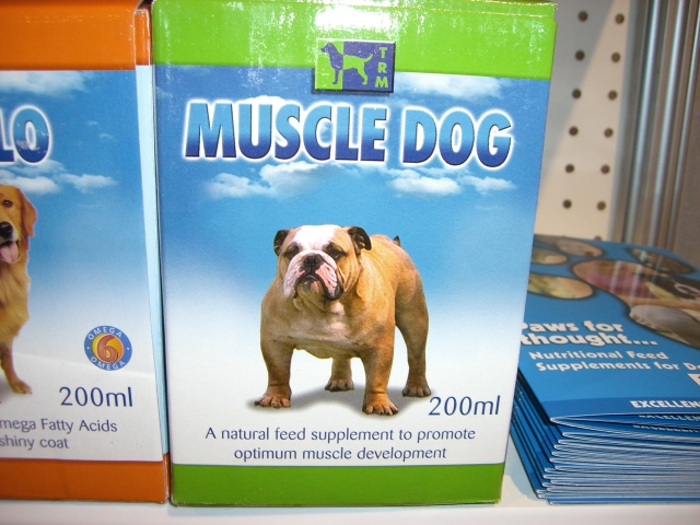 Muscle Dog.JPG