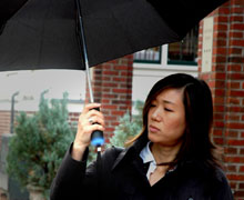 umbrella