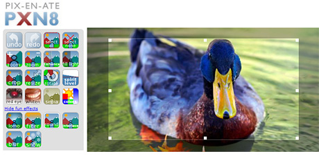 PXN8 - Photos Made Easy (Image courtesy PXN8.com)