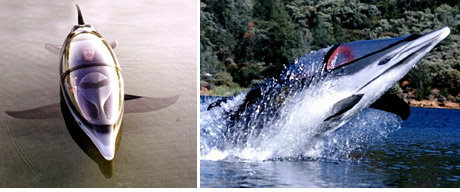 Bionic Dolphin (Image courtesy NoLand Corporation)