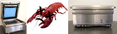 lobster.gif