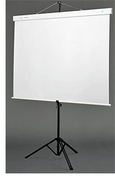 Authentic ASS-60AK Speaker Screen (Image courtesy Tech Digest)
