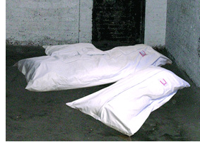 Dead Comfy Bean Bags
