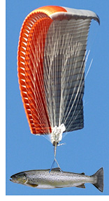 Fish Parachute (Images courtesy Google Images)