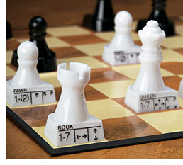 Chess Teacher (Image courtesy Miles Kimball)