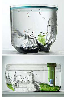 Fish Pod (Images courtesy MoCo Loco)