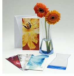 Vase in a Card (Image courtesy Jungseed.com)