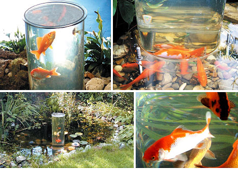 Fish Loft (Images courtesy Fishloft.de)