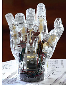 Pianist Hand Concert (Image courtesy What On Earth)
