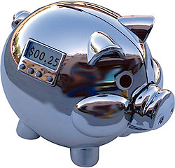 Pig E Bank (Image courtesy Science eStore)
