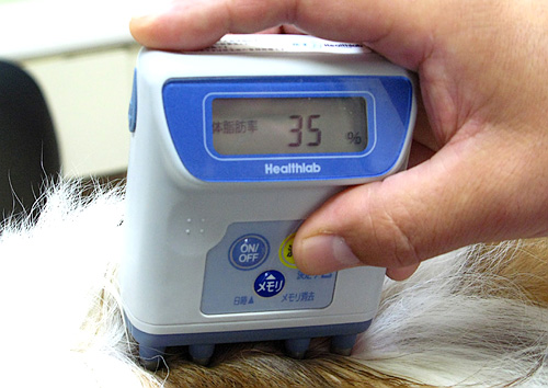 Body Fat Device For Dogs (Image courtesy TOKYOMANGO)