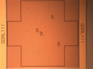 Robocup Nano Field