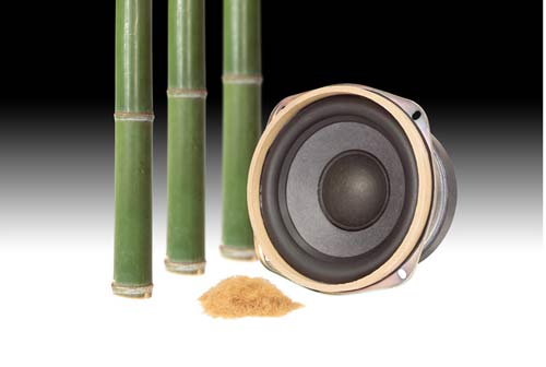 Panasonic Bass Speaker