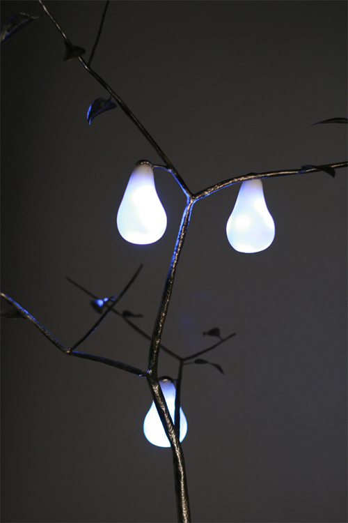 Pear Tree