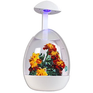 USB-GREENHOUSE-051-unit.jpg