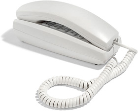 Telespy Motion Sensing Phone (Image courtesy Smarthome)