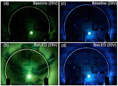 Bio LEDs