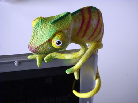 Chameleon