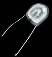 Static Electricity Powered Bulb (Image courtesy Edmund Scientific)