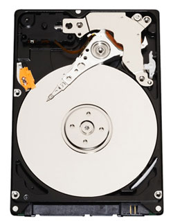 Western Digital Scorpio 320GB HDD (Image via WD)