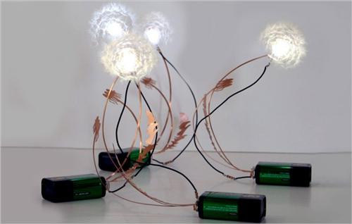 Dandelights