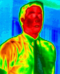 Thermographic Image (Image courtesy LAND Instruments International)