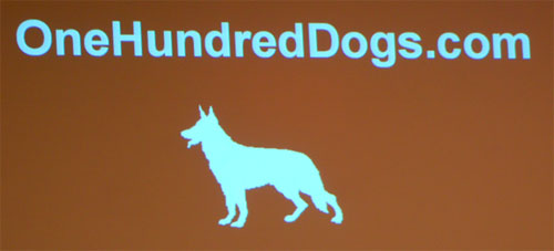 OneHundredDogs