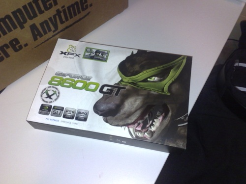 xfx 8600 gt