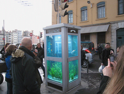 Phone Booth Fishtank