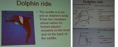 Dolphin Ride
