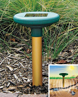 Solar Mole & Gopher Chaser (Image courtesy Solutions)