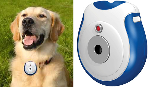 Pet\'s Eye View Camera (Images courtesy bookofjoe & Discover This)