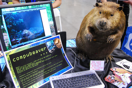 beaver Compubeaver