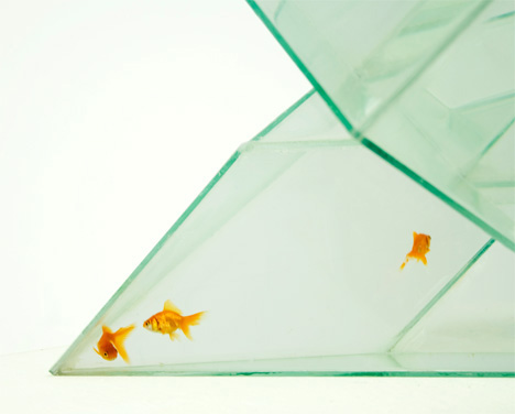 infinity_aquarium7 Infinity Fishtank