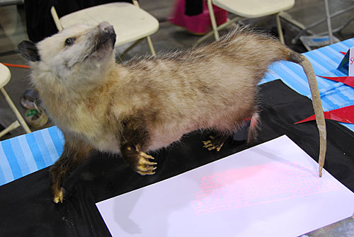 possum Text-o-possum