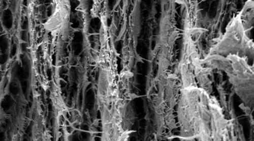 Nanopaper (Image courtesy the American Chemical Society)