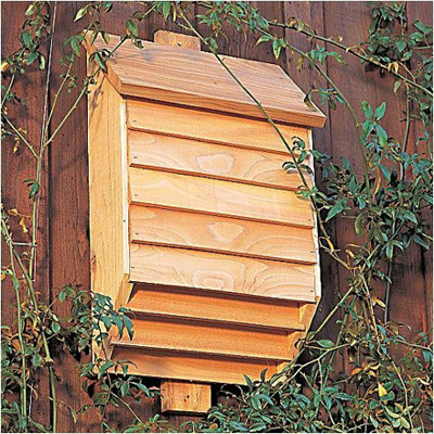 home_for_bats1