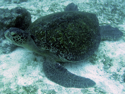 img_2441 img_2441