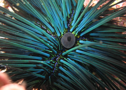img_2630 img_2630