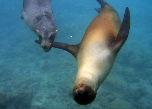 img_4821 img_4821