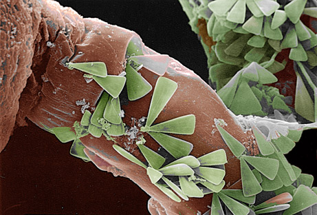 1_science_461