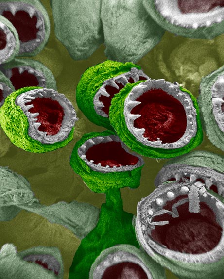 3_science_461