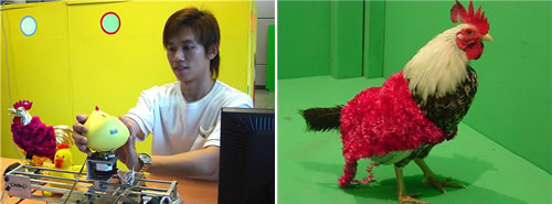 poultry-internet