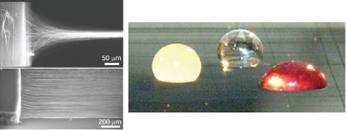 nanosheets