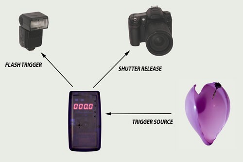 sample_setup