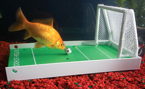 The Fish Agility Training Set (Image courtesy Hammacher Schlemmer)