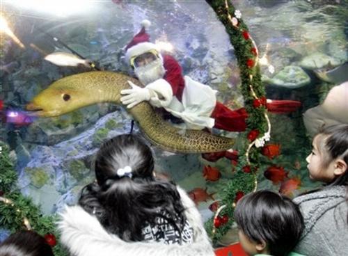 fishsanta3-custom.jpg