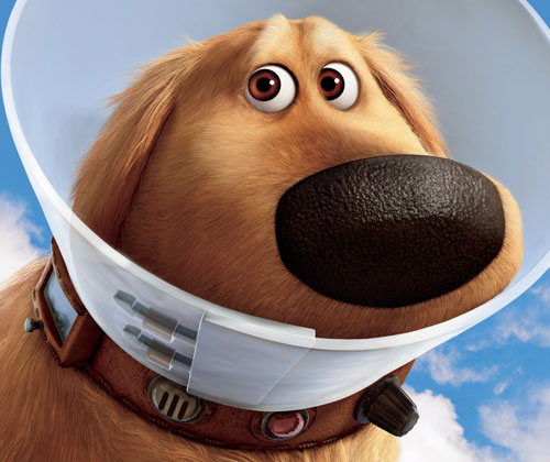 up_dog up_dog