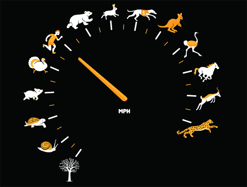 As Fast As I Can Tee (Image courtesy Threadless)
